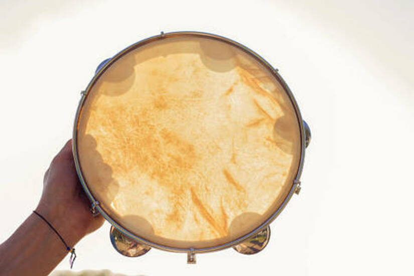 Capoeira Musicalité